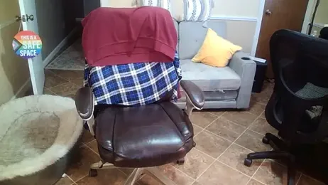 superbearboss — Stripchat recorded stream image, 31.12.2025 15:10