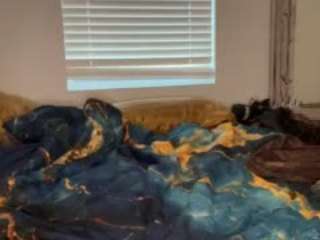 laylared — Camsoda recorded stream screenshot (01 Jan 2026)