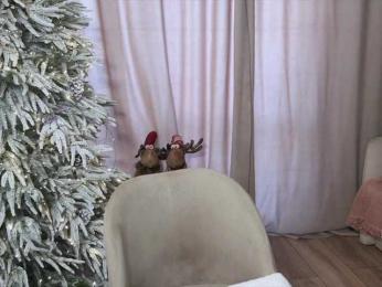 -Molly- — Bongacams recorded stream image, 02.01.2026 02:40