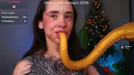 EvaCanton — Stripchat recorded stream screenshot (04 Jan 2026)