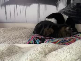 anyaa777 — Chaturbate recorded stream screenshot (05 Jan 2026)