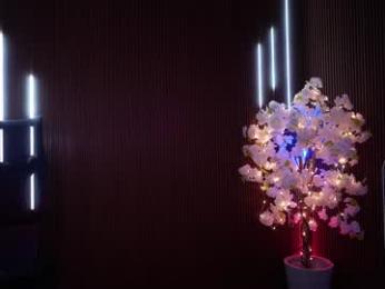 xforyoureyesonlyx — Chaturbate recorded stream screenshot (10 Jan 2026)