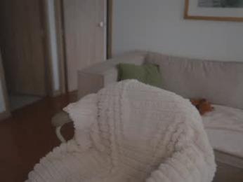 rebeccastonee — Chaturbate recorded stream image, 12.01.2026 17:50