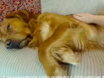 x_lily_x — Chaturbate recorded stream screenshot (12 Jan 2026)