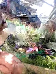 Andypie6 — Stripchat recorded stream image, 13.01.2026 02:30