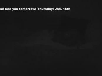 eatmygingersnapps — Chaturbate recorded stream image, 14.01.2026 15:40