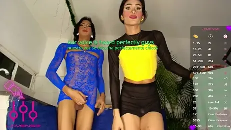 Bigdickgirls_02 — Stripchat recorded stream image, 17.01.2026 19:10