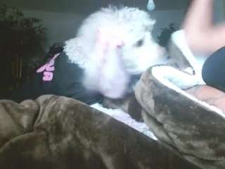 liquidfire — Camsoda recorded stream screenshot (22 Jan 2026)