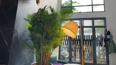 MaryGii — Stripchat recorded stream screenshot (23 Jan 2026)