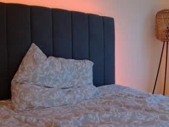 lena___ — Chaturbate recorded stream image, 26.01.2026 07:40
