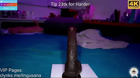 Ana_Lingus — Stripchat recorded stream screenshot (26 Jan 2026)