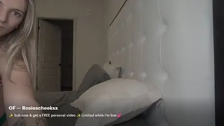 RosieCheeks_ — Stripchat recorded stream image, 28.01.2026 01:40