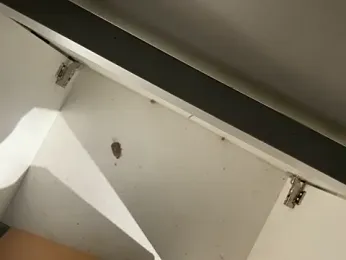 trash4cash — Stripchat recorded stream image, 28.01.2026 15:40