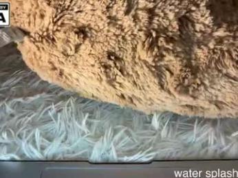 miafleur — Chaturbate recorded stream screenshot (28 Jan 2026)