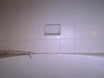 bigdicktrannynicole — Chaturbate recorded stream screenshot (30 Jan 2026)