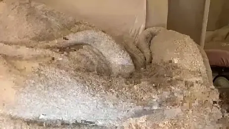 18yoteenvirgin — Stripchat recorded stream screenshot (31 Jan 2026)