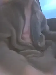 Zeefy — Stripchat recorded stream screenshot (05 Feb 2026)