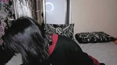 GraypacLive — Stripchat recorded stream screenshot (07 Feb 2026)