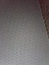 By_Aninha — Stripchat recorded stream screenshot (08 Feb 2026)