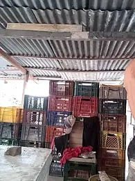 hoteder — Stripchat recorded stream screenshot (09 Feb 2026)