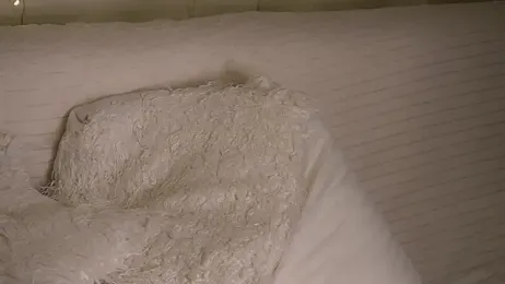 AnnyBangs — Stripchat recorded stream screenshot (11 Feb 2026)