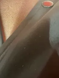 CrazzyChicks — Stripchat recorded stream screenshot (13 Feb 2026)