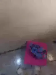 kingofqueenxxx — Stripchat recorded stream screenshot (13 Feb 2026)