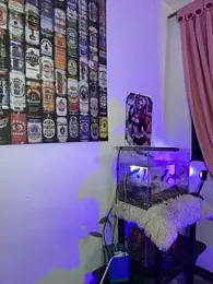 CRAZY-BOY99 — Stripchat recorded stream screenshot (16 Feb 2026)