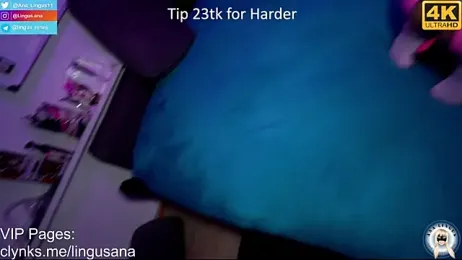 Ana_Lingus — Stripchat recorded stream screenshot (17 Feb 2026)