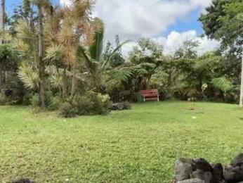 kaileeshy — Chaturbate recorded stream image, 18.02.2026 23:30