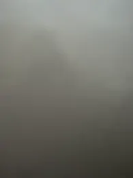 CrazzyChicks — Stripchat recorded stream screenshot (19 Feb 2026)