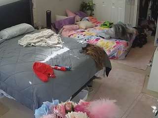 voyeurcam-house-charleys-room — Camsoda recorded stream image, 17.02.2026 07:10