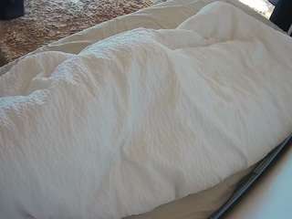 voyeurcam-julmodels-whitebed-4 — Camsoda recorded stream image, 22.02.2026 00:00