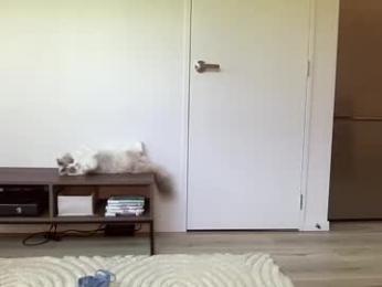 mollyy2006 — Chaturbate recorded stream screenshot (23 Feb 2026)