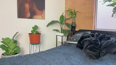 Andy_Belier23 — Stripchat recorded stream screenshot (23 Feb 2026)