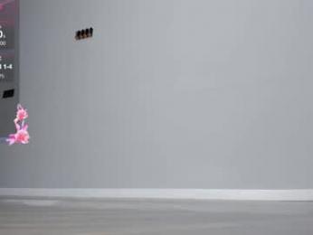 hi_miki — Chaturbate recorded stream screenshot (24 Feb 2026)