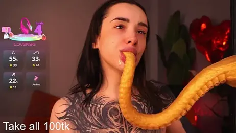 EvaCanton — Stripchat recorded stream screenshot (25 Feb 2026)