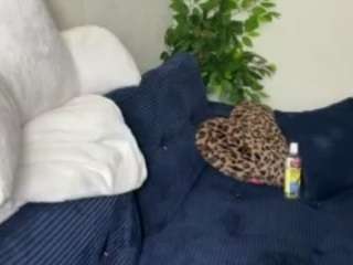 iambaldheadbrittany — Camsoda recorded stream screenshot (26 Feb 2026)