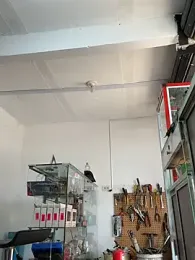 Paul22cm- — Stripchat recorded stream screenshot (26 Feb 2026)