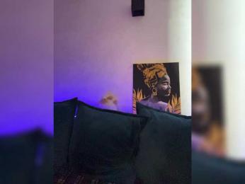 WILDGIRL — Bongacams recorded stream image, 28.02.2026 05:50