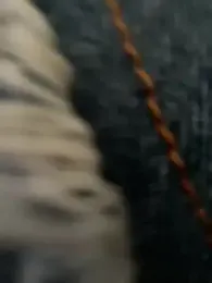 Dahian_XXX — Stripchat recorded stream screenshot (01 Mar 2026)