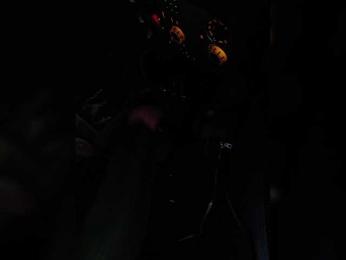 Angelia22 — Bongacams recorded stream image, 08.03.2026 14:50