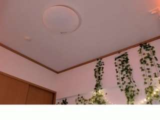 vi-jasen — Camsoda recorded stream image, 12.03.2026 05:30