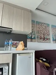 AngelinaTeller — Stripchat recorded stream image, 13.03.2026 00:40