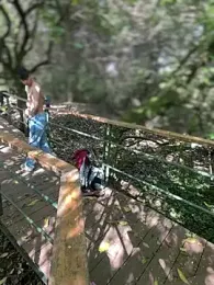 yoursexyjose — Stripchat recorded stream image, 13.03.2026 18:30