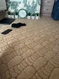 Michel_huge — Stripchat recorded stream screenshot (14 Mar 2026)