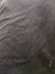 PIGHIGHDIRTY_p0 — Stripchat recorded stream image, 16.03.2026 17:20