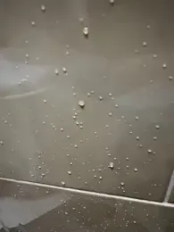 CrazzyChicks — Stripchat recorded stream image, 21.03.2026 05:20