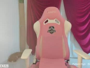 sabrina_geek — Chaturbate recorded stream image, 28.03.2026 01:10