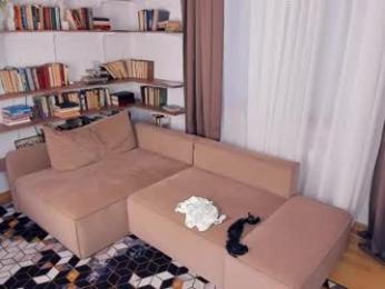 angelinahass — Chaturbate recorded stream image, 30.03.2026 08:30